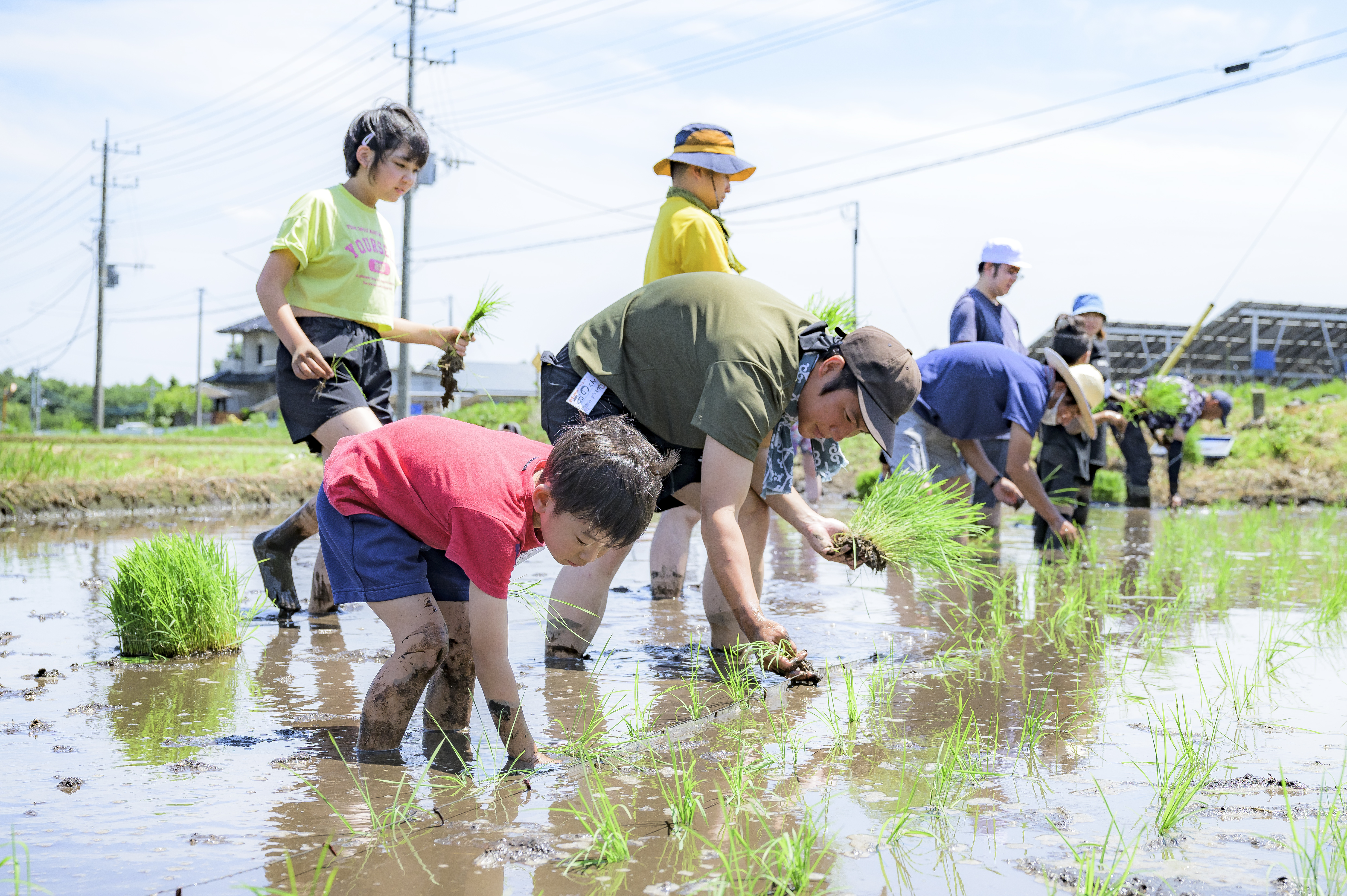 【GROWCATION】１DAYプログラム「日本酒ができるまで～part1田植え～」を開催しました！！