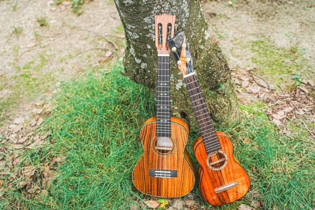 IIBASHO交流コーナー　byエーデルワイス